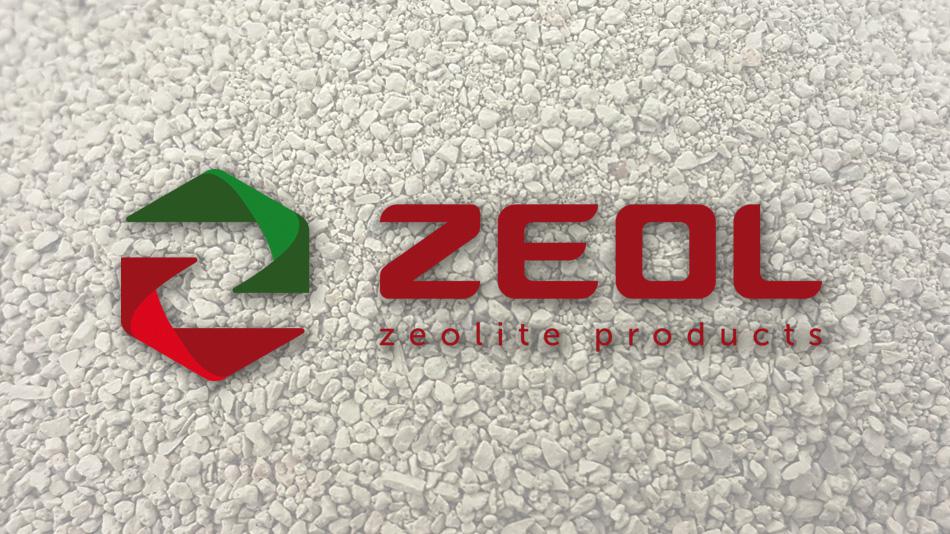The launch of the new official site of of Volga Region Zeolites OJSC